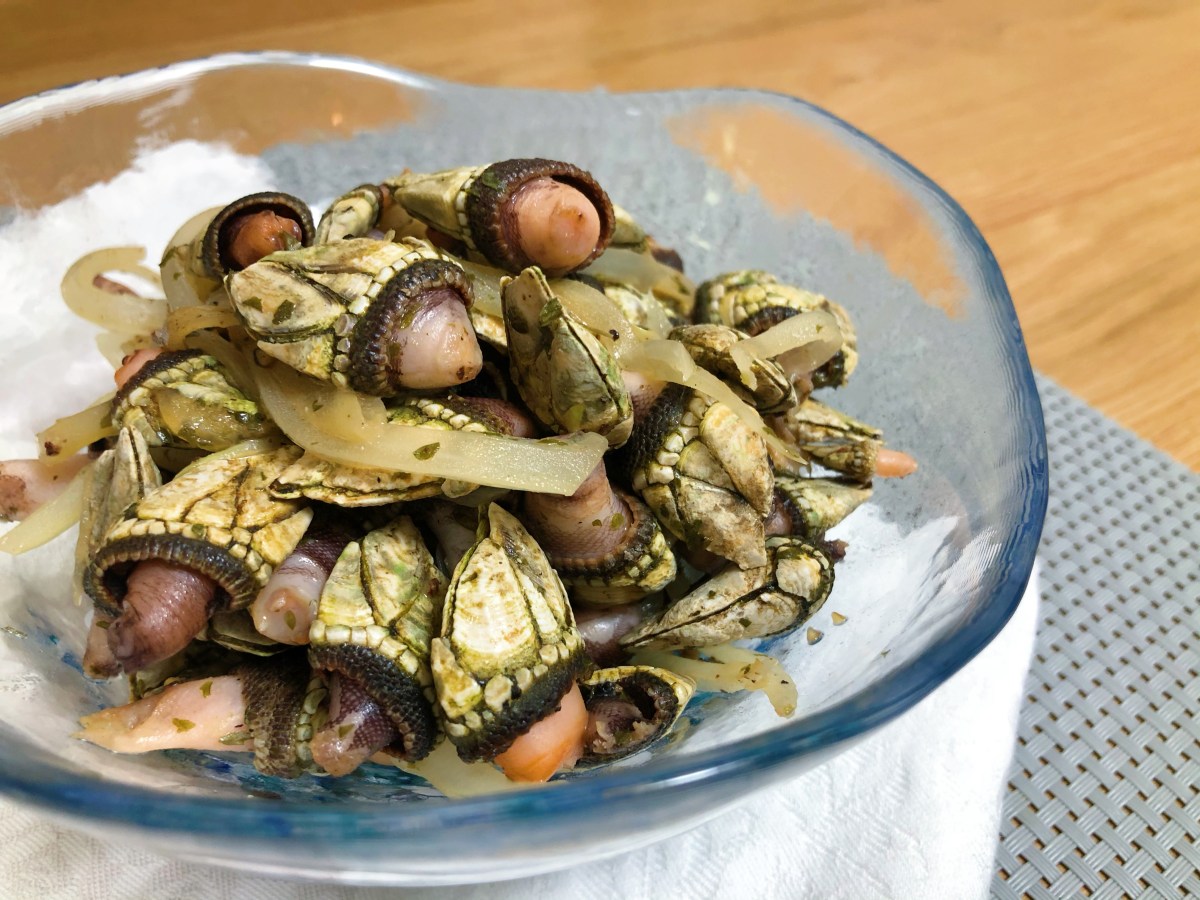 Cooking log 39 : Nearly Neckless Gooseneck Barnacles